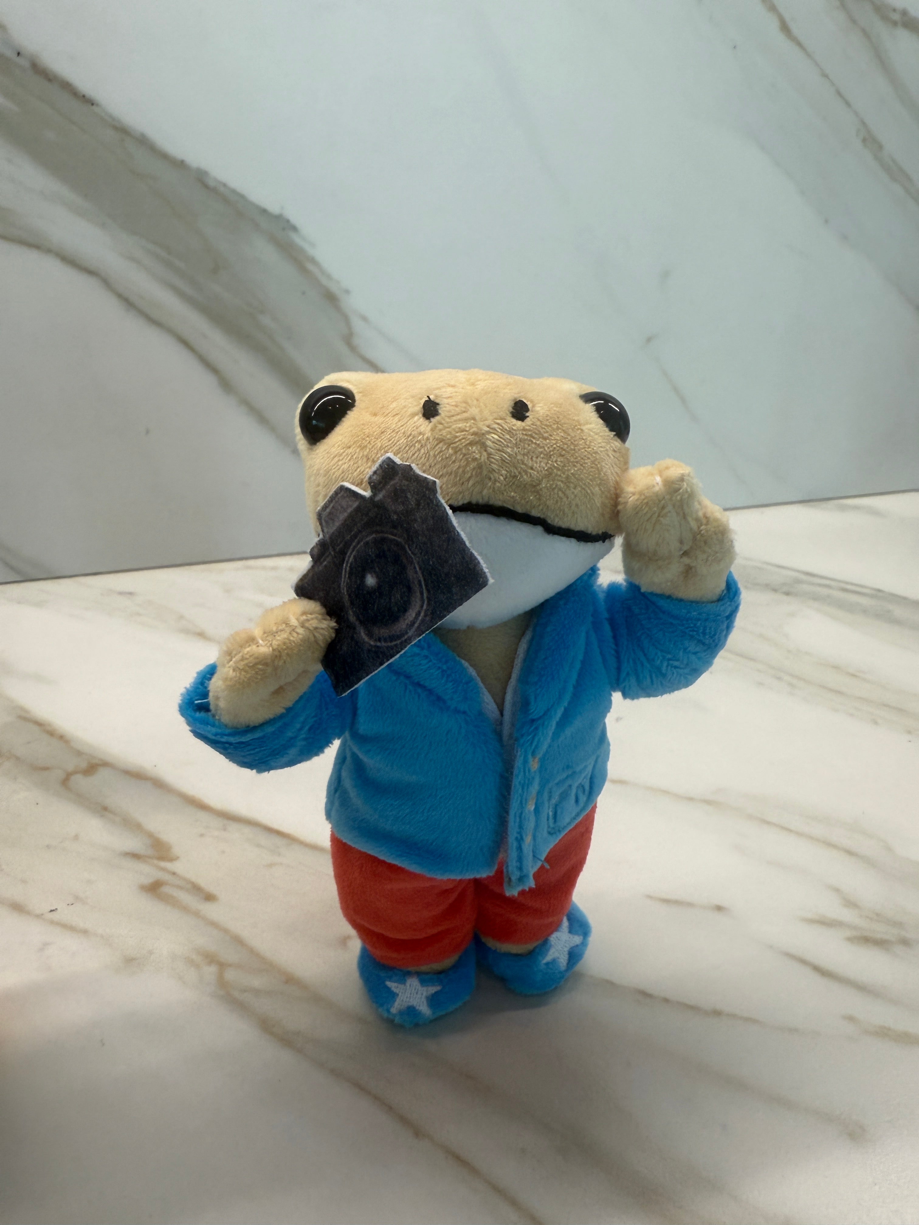 Limited Edition Coquí Cheo Plush Keychain – Puerto Rico Coquí Photographer