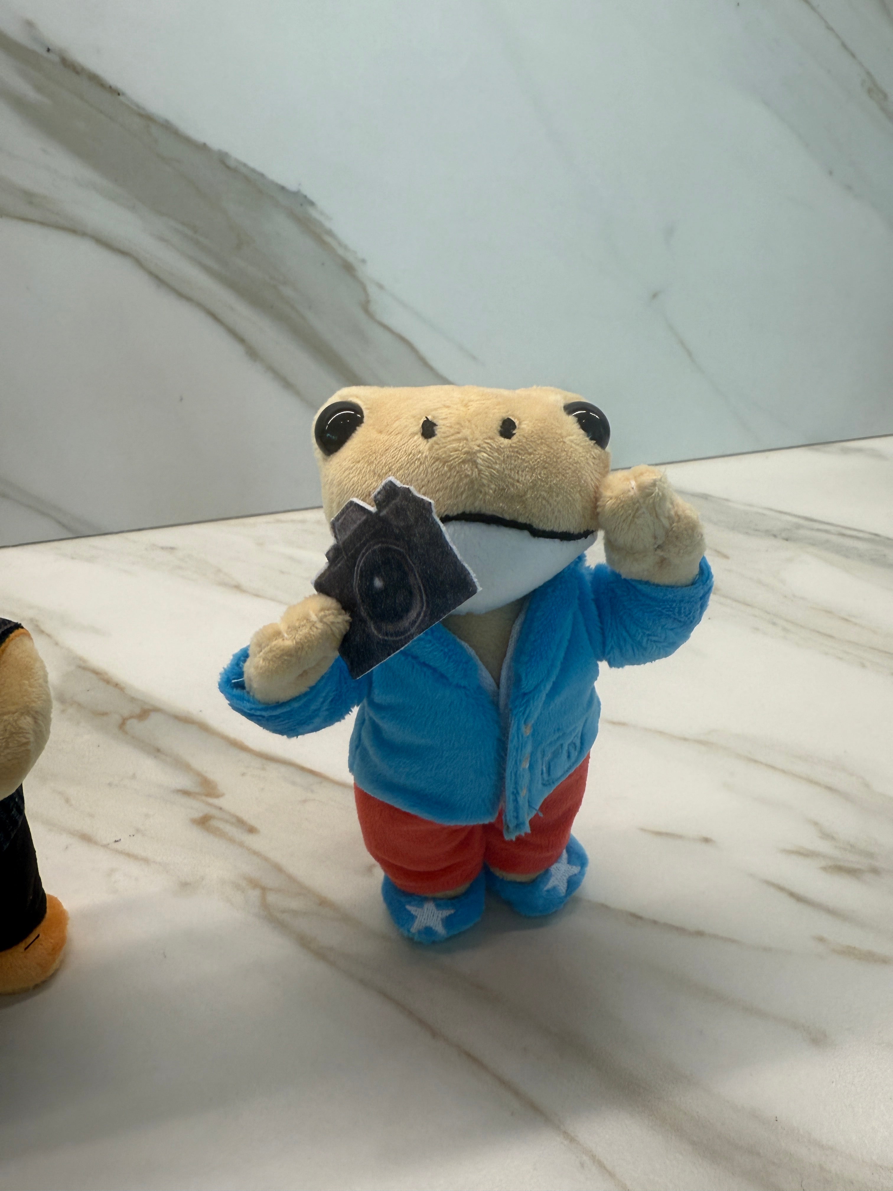 Limited Edition Coquí Cheo Plush Keychain – Puerto Rico Coquí Photographer Main image