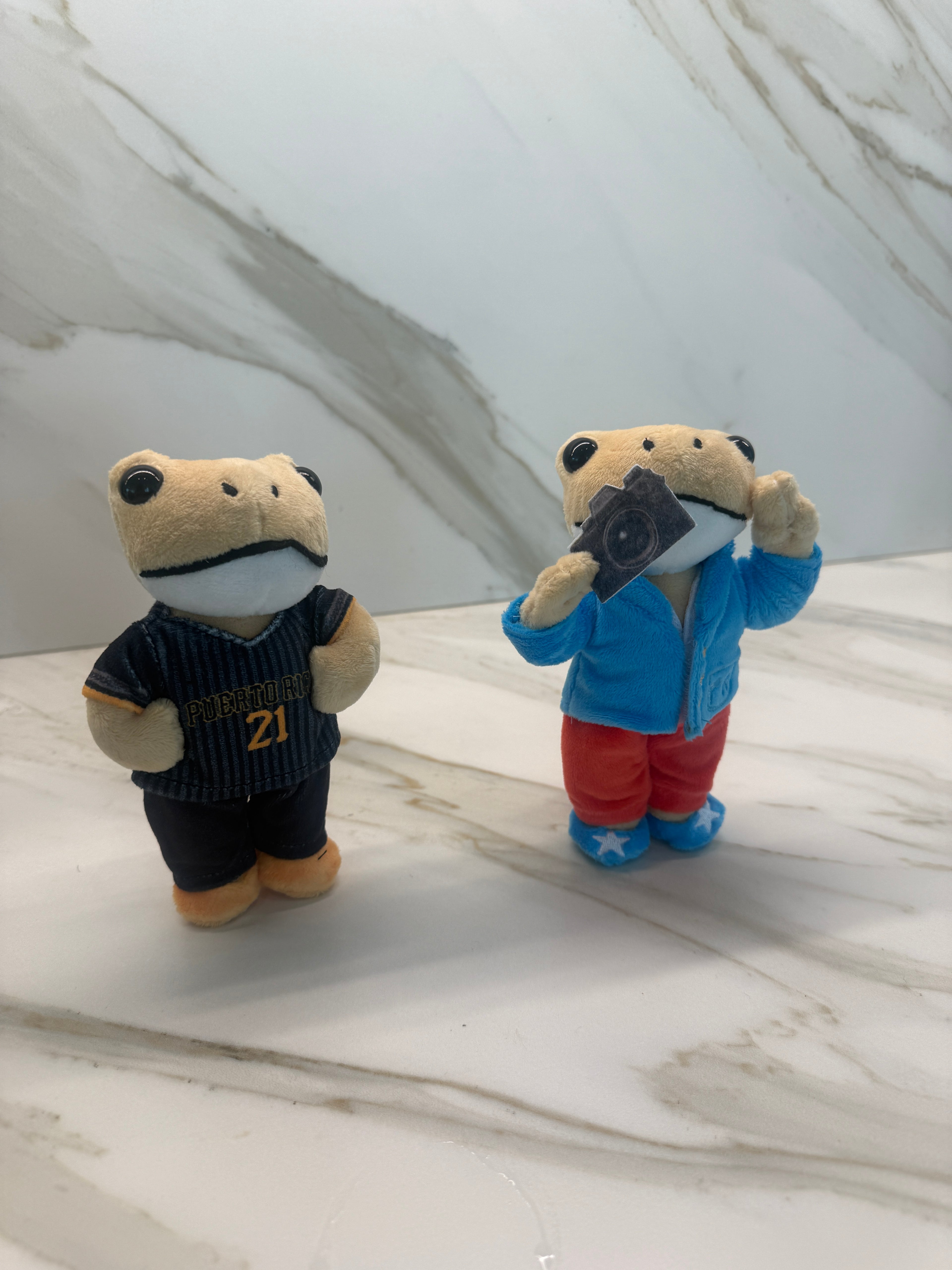 Limited Edition Coquí Cheo Plush Keychain – Puerto Rico Coquí Photographer