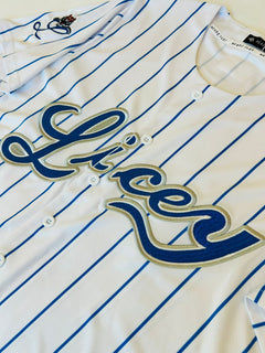 Caribbean Blue Baseball Button Jersey – Premium Embroidery Edition