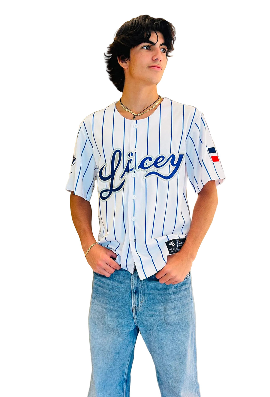 Dominican Republic Blue Baseball Jersey – Embroidered Button-Up