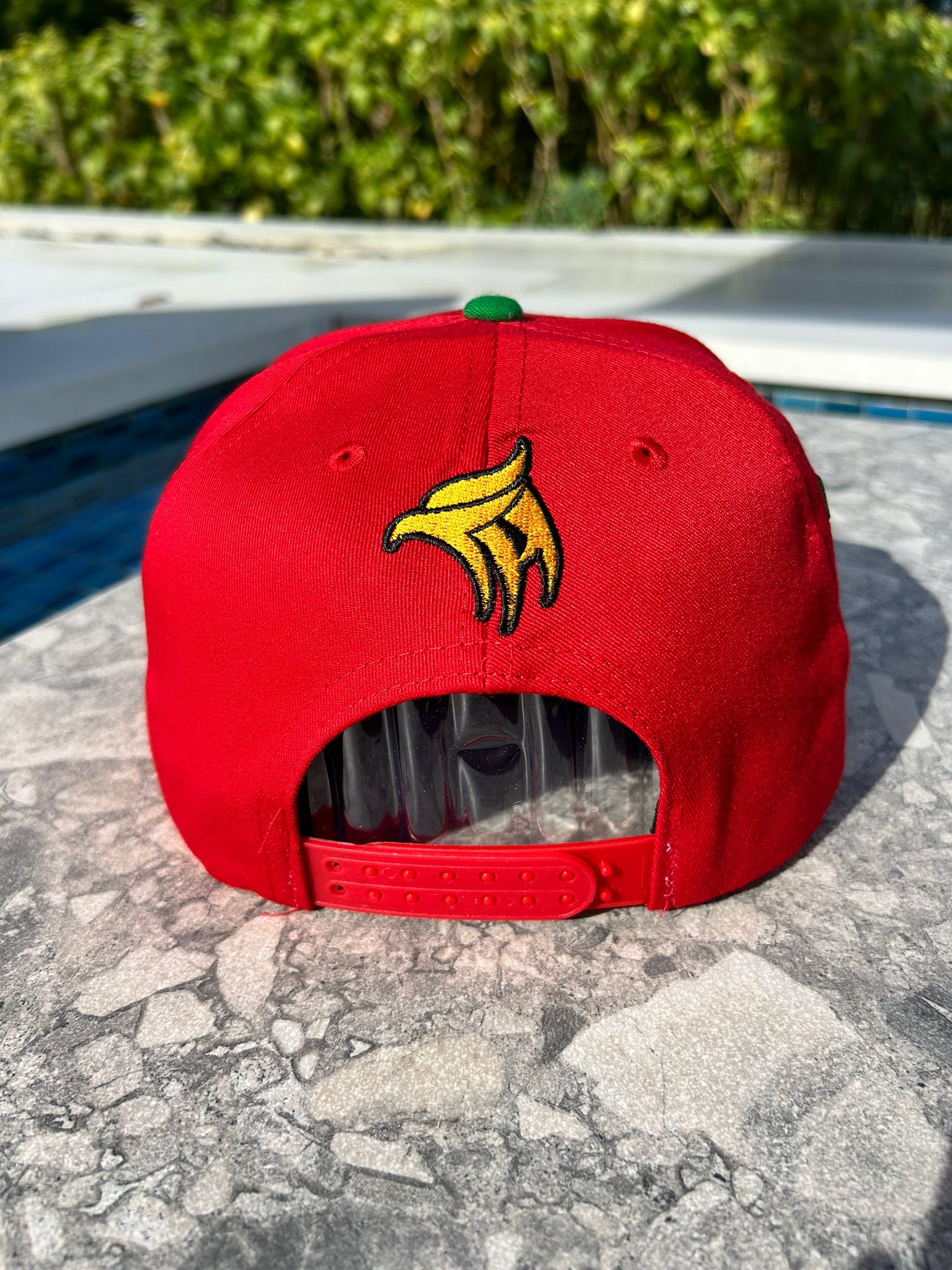 Back view with eagle in flag colors embroidery

