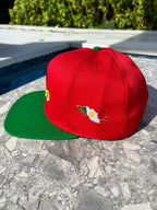 Side view showing Mexico map in green, white, and red

